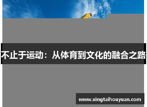 不止于运动:从体育到文化的融合之路